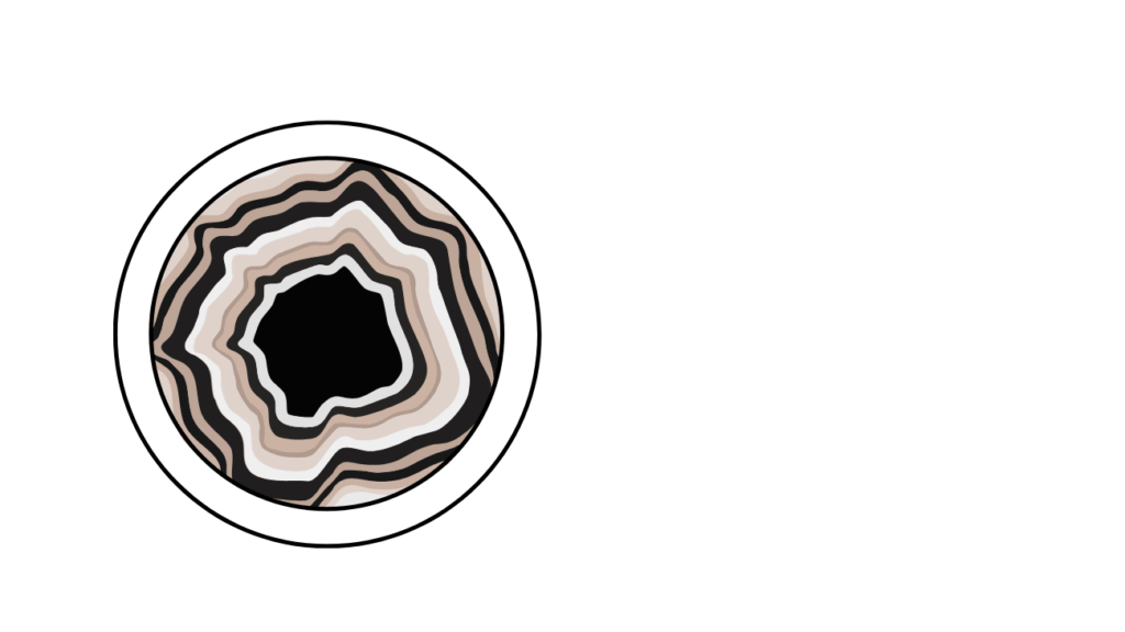 Logo Onyx horizontal blanc RVB PNG