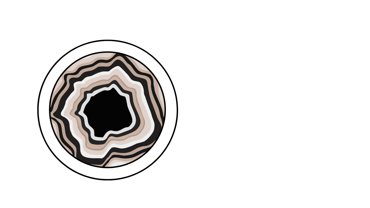 Logo Onyx horizontal blanc RVB PNG