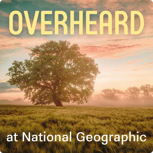 Overheard at National Geographic